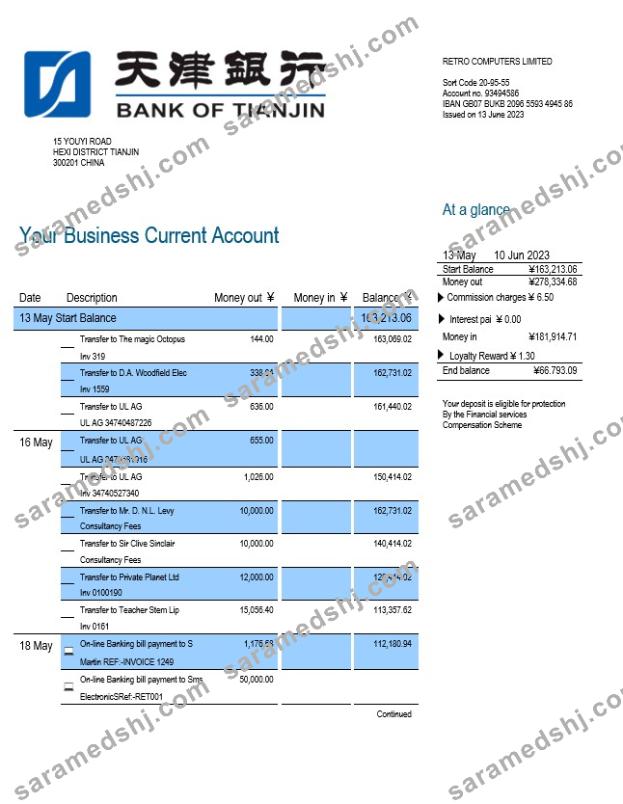 Bank of Tianjin business statement Word and PDF template